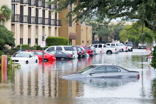 How to Navigate Your Car in a Flood